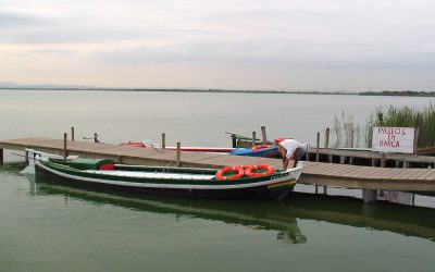 Natuurgebied Albufera